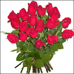 "Special Flowers - .. - Click here to View more details about this Product